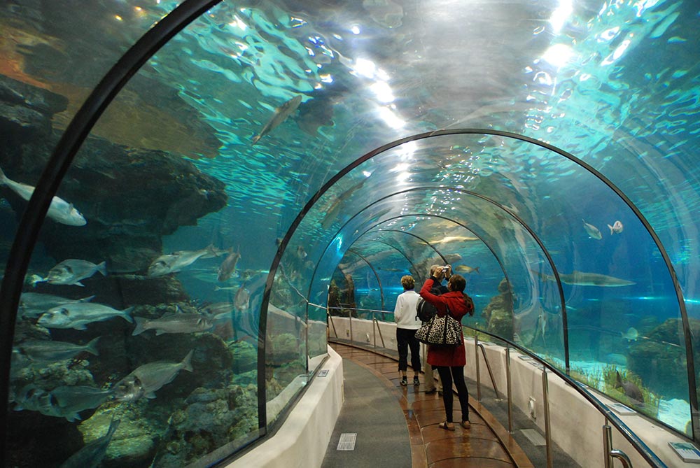 Aquarium underwater tunnel