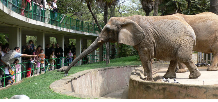 Barcelona Zoo